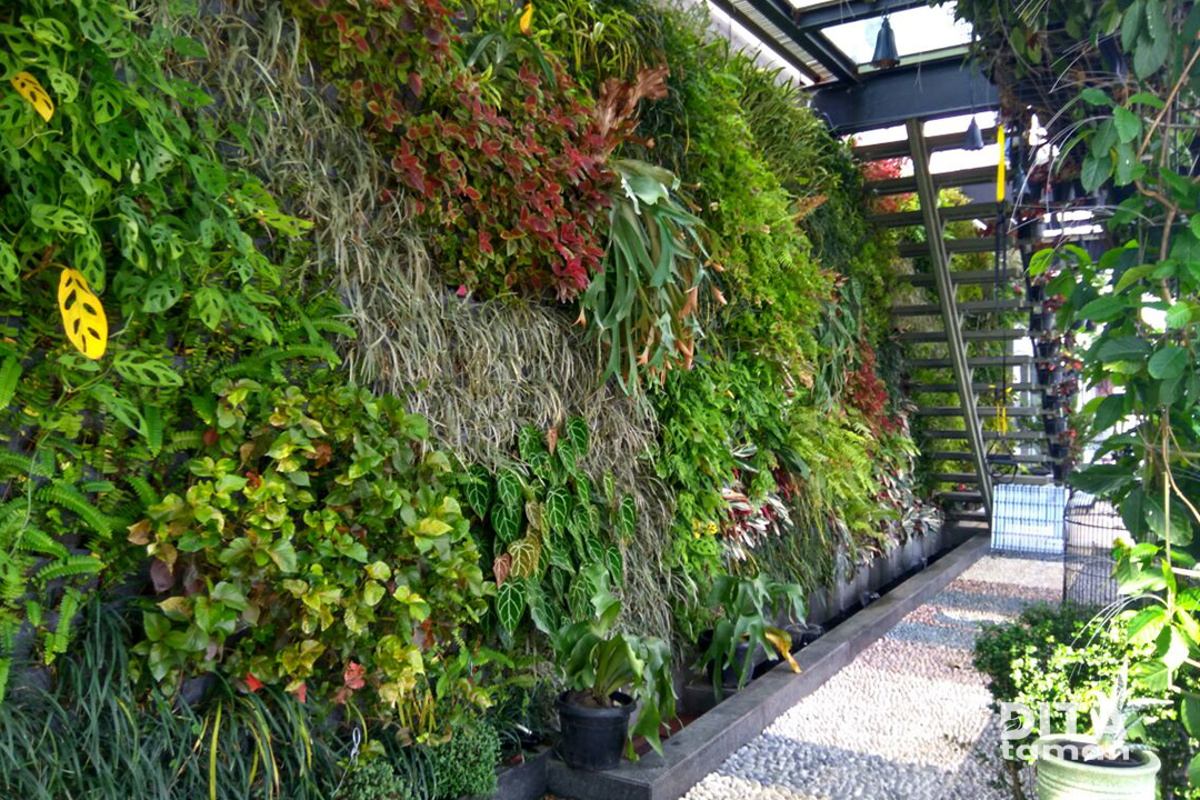 Jasa Pembuatan Vertical Garden