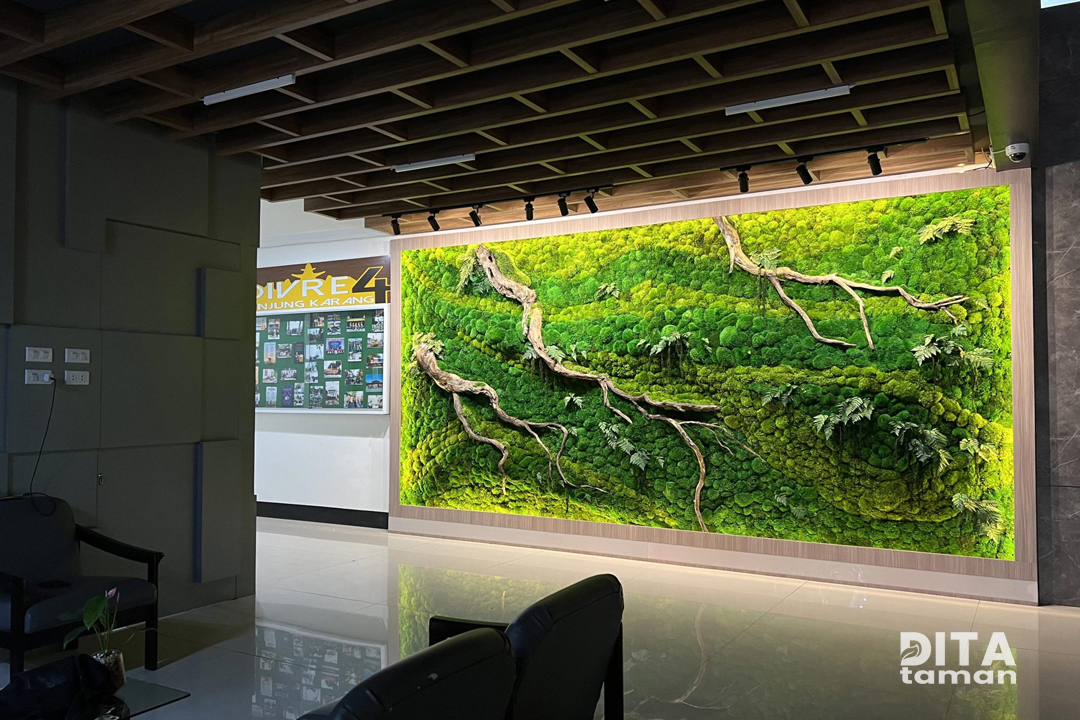 Jasa Pembuatan Moss Wall